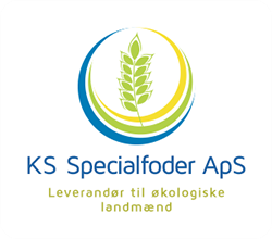 logo_29